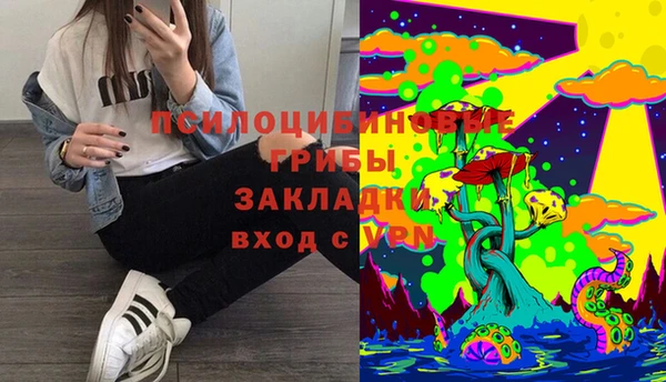 прущие крисы Алексин