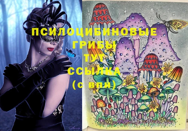 a pvp Алзамай