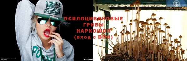 a pvp Алзамай