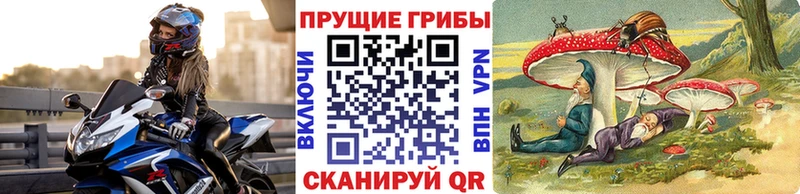 где найти   мега   Галлюциногенные грибы MAGIC MUSHROOMS  Невинномысск 