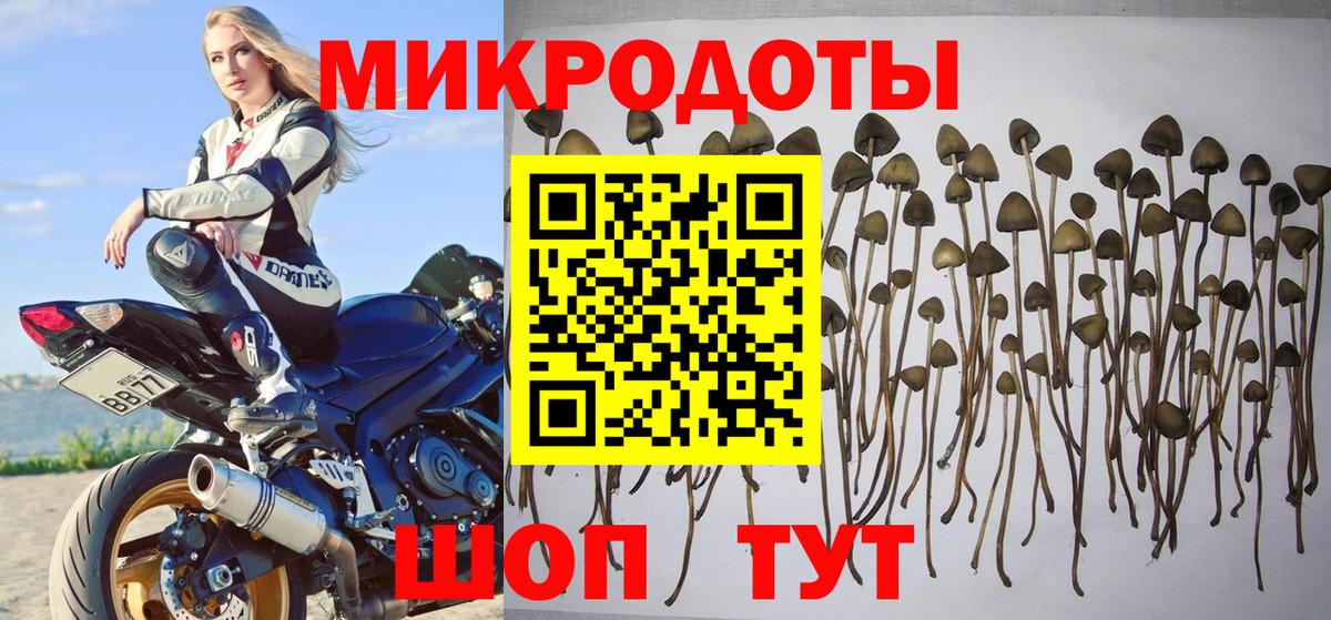 Галлюциногенные грибы мицелий Невинномысск