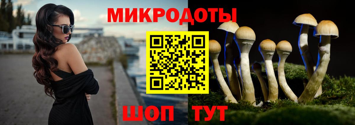 Галлюциногенные грибы Psilocybe  Вход с VPN  Невинномысск 