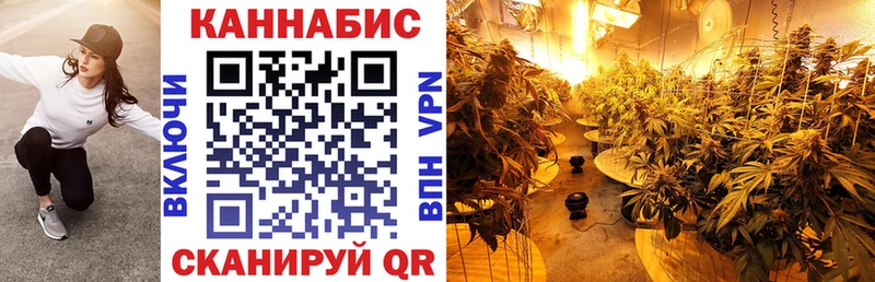 Марихуана конопля Невинномысск